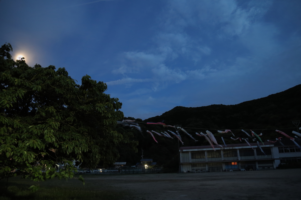 月夜に泳ぐ