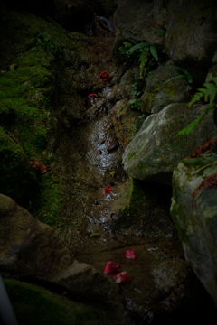 生生流転　五