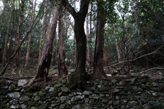 荒廃地　ⅲ