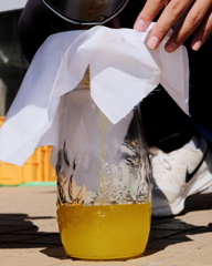 手作り椿油　弐