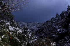 西の島にも雪は降る　弐