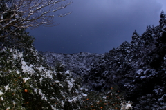 西の島にも雪は降る　弐