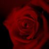 深紅　ⅱ