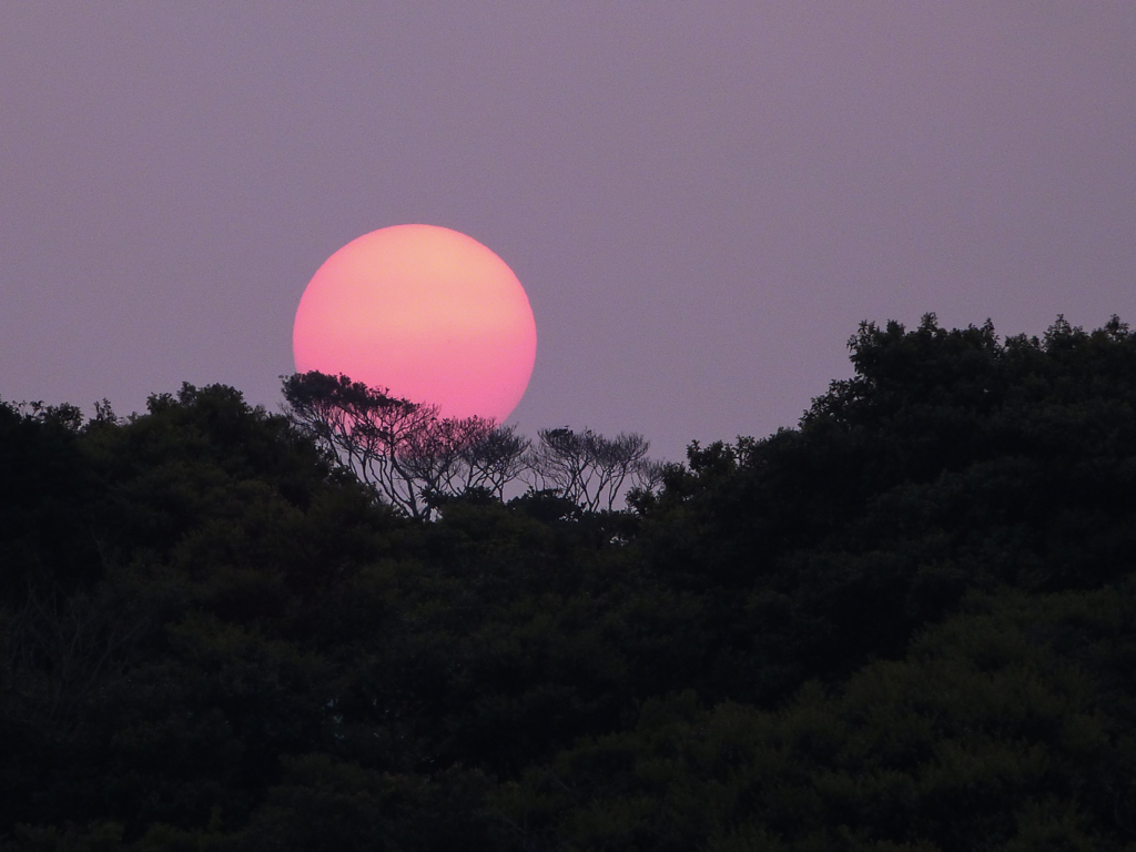 今日の夕陽はでかかったⅤ