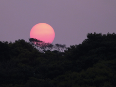 今日の夕陽はでかかったⅤ