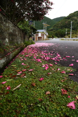 山茶花のバス停