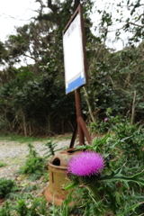 田舎のバス停