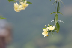 春風をうけてⅢ