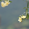 春風をうけてⅢ