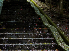 花散る石段Ⅳ