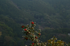 島の夕暮れⅡ