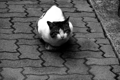 孫の見た町の寸景Ⅲ