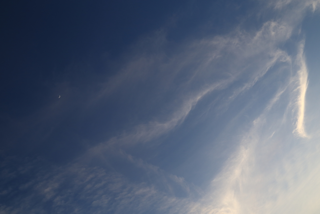 春の空の片隅に・・・