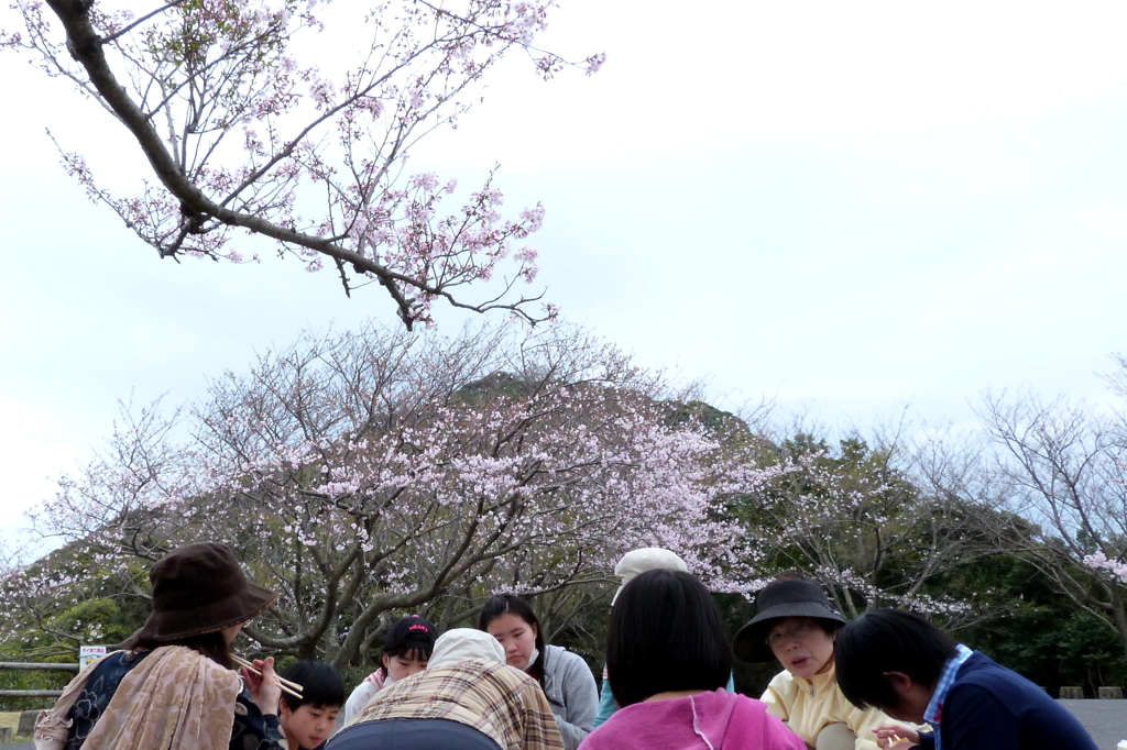 お花見Ⅲ