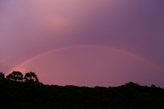 夕焼け空にかかる虹