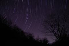 昇る北斗七星と桜の枯木