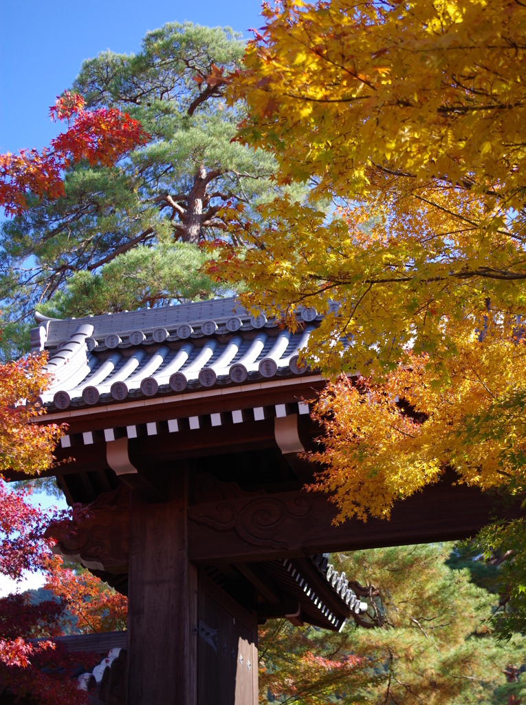 永観堂禅林寺 総門