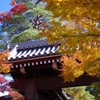 永観堂禅林寺 総門