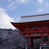 清水寺仁王門