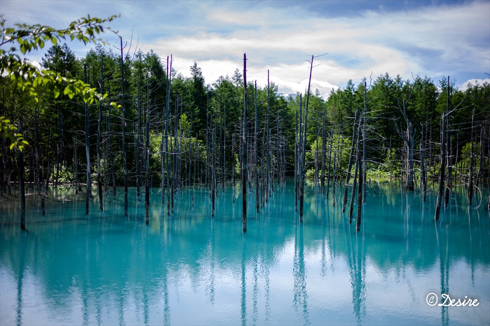 Blue Pond