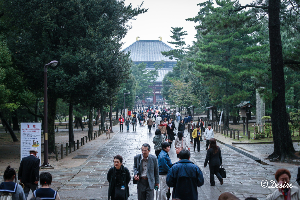 秋雨後の東大寺