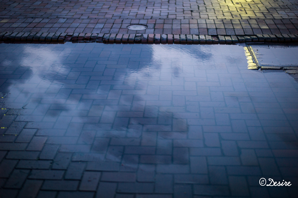 雨上がり