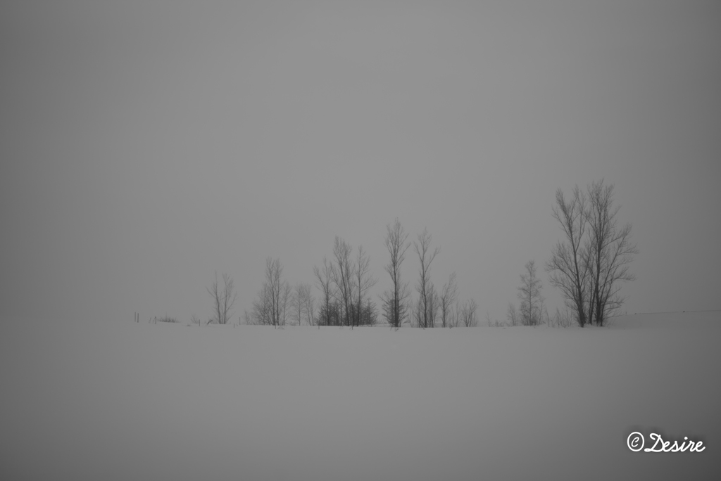 silence