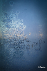 a frozen window