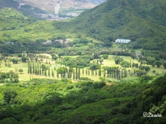 Kualoa Hawaii2