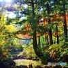 小川の秋