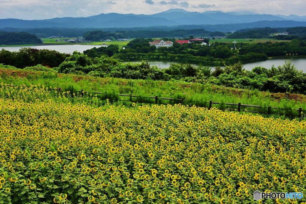 夏の風景