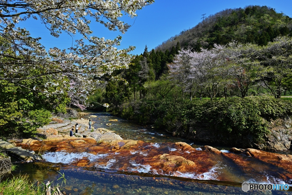 春の陽気