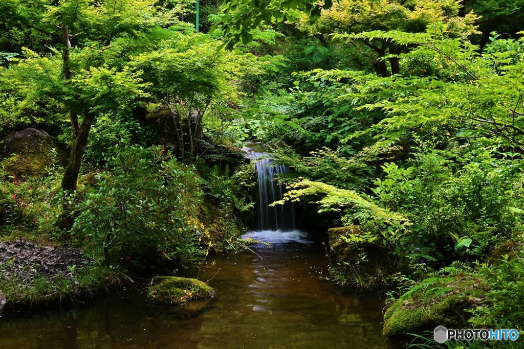 森の小川