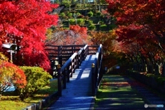 秋の回廊
