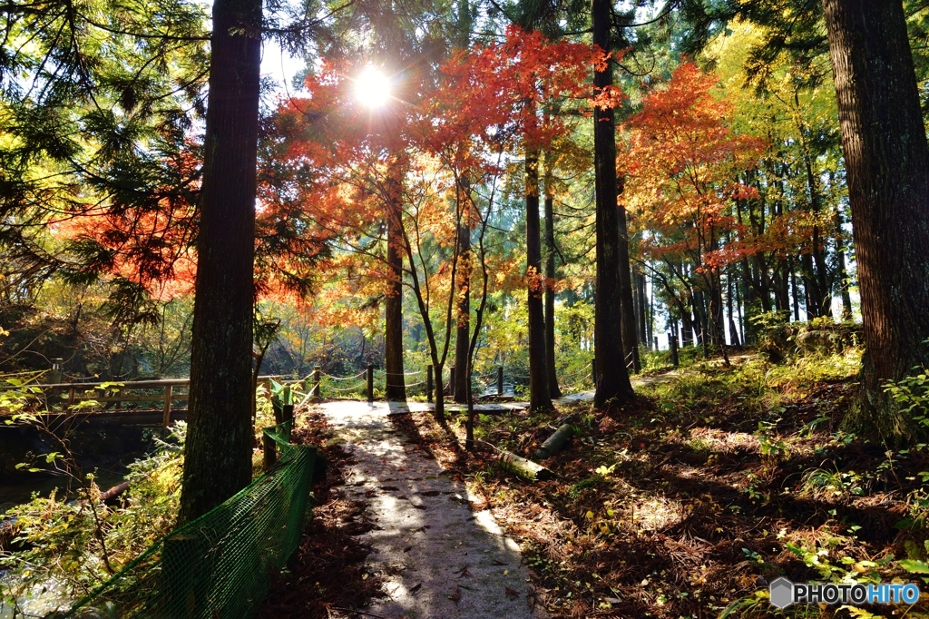 遊歩道