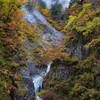 雨の紅葉