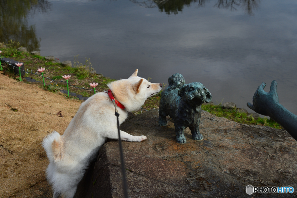 ねぇ　ねぇねぇ