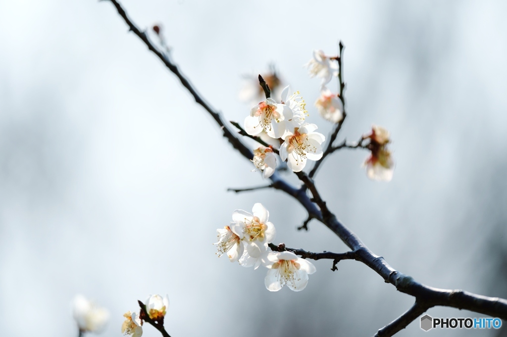 陽気