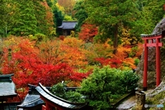 染まる那谷寺