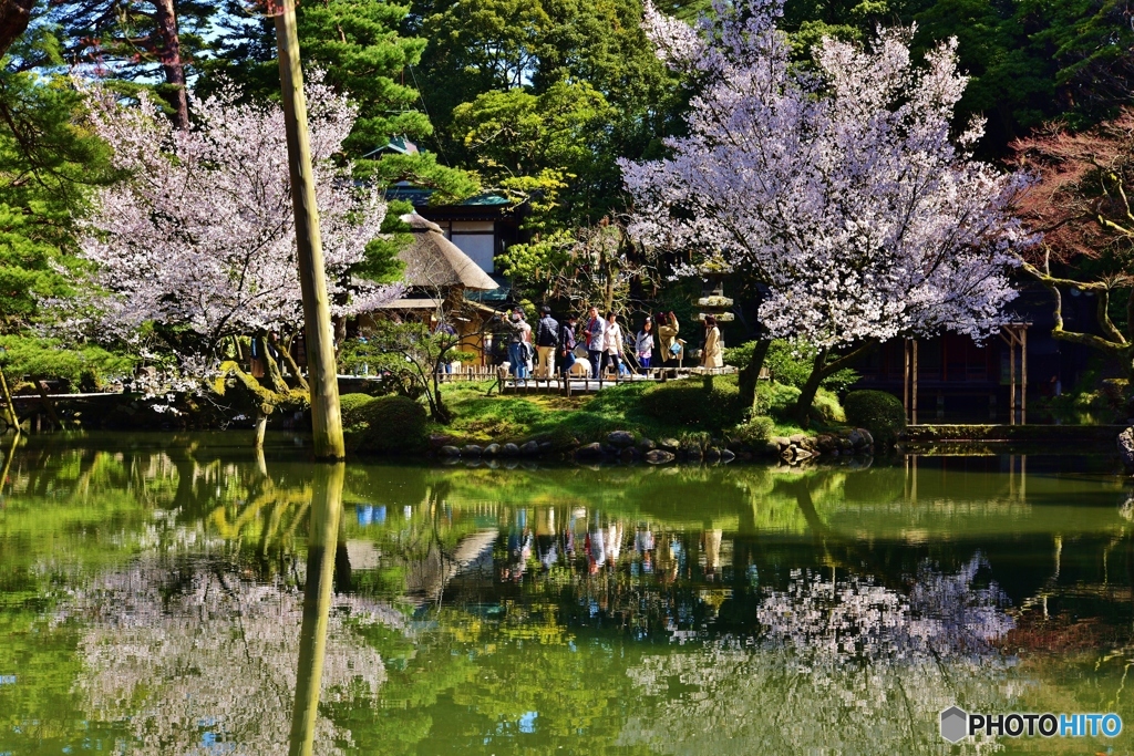花見