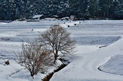 里山の3月