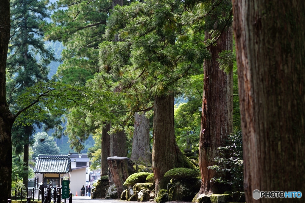 永平寺参道
