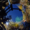 白山の伏流水　弘法池の水