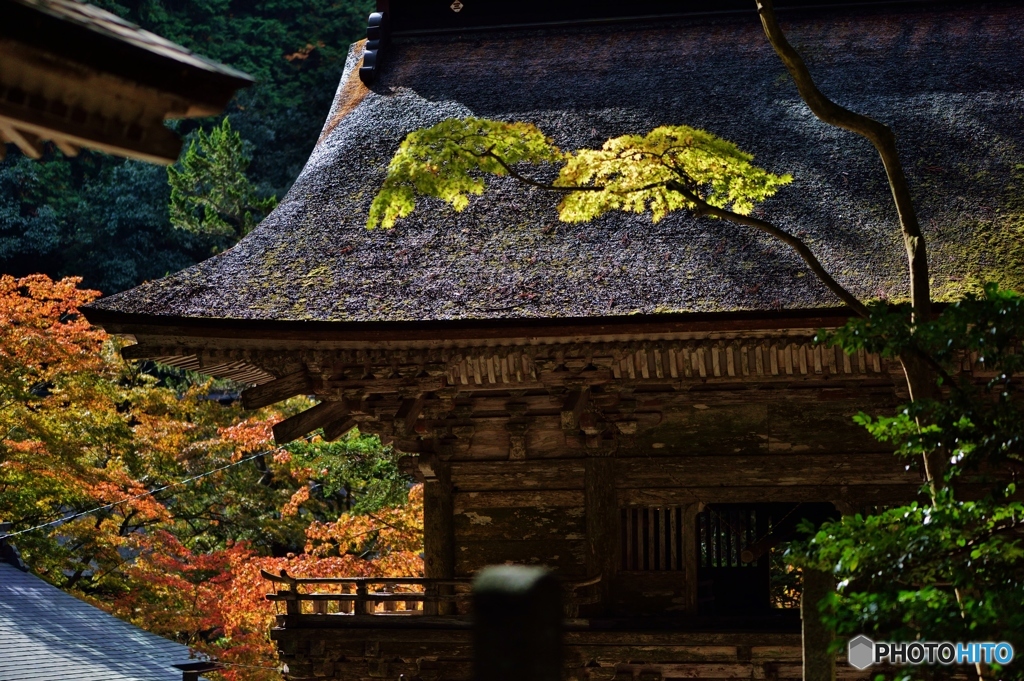 茅葺屋根