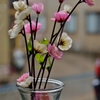 窓辺の春