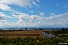 能登の海