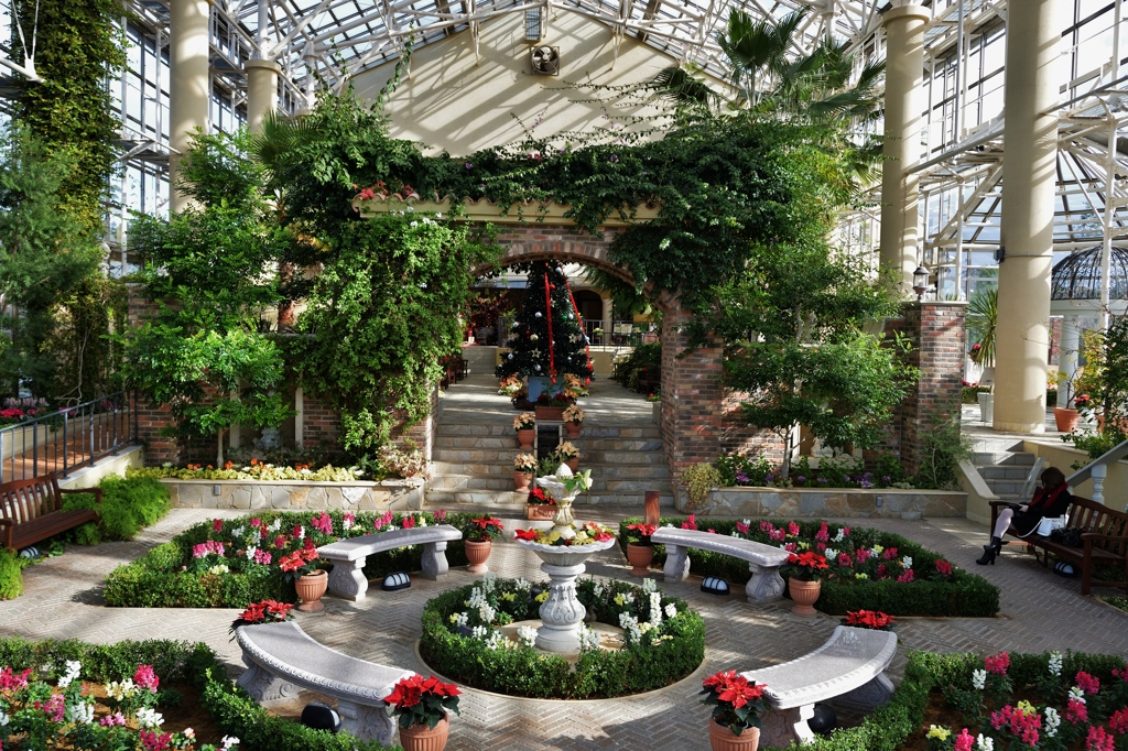 garden　Christmas