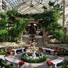 garden　Christmas