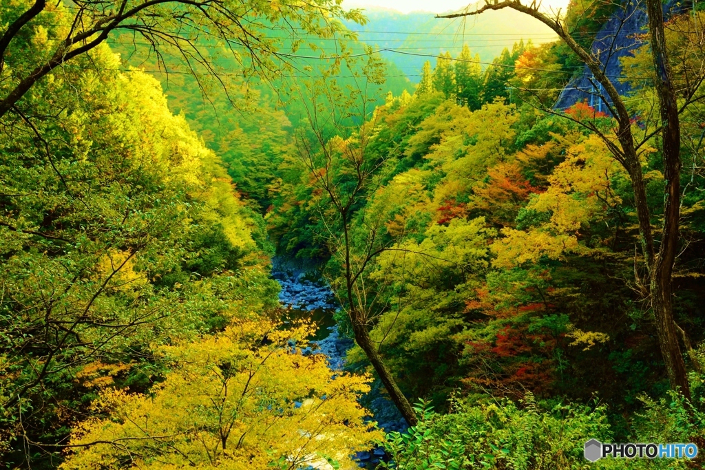温見川