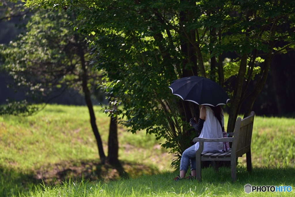 夏の陽